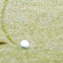 시너지골프 이미지