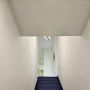 용신69 | [서울/동대문] 프로젝트서울 신설동점, 내돈내산 방문후기