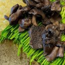 명지 장수오리 이미지