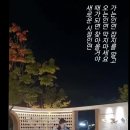 시절인연 이미지