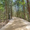 방아다리쉼터1 이미지