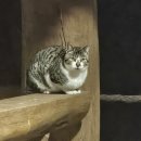 고랑포길 | 도전 고랑