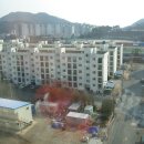신흥동 해군아파트 앞 Daum카페