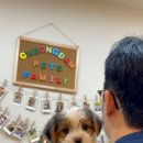 청담펫츠 이미지