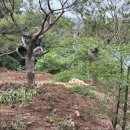 금산도예민박 이미지