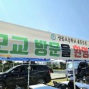 성동초등학교병설유치원 이미지