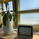 영강초등학교 이미지