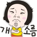 신데렐라 헤어 네이버블로그