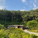 봄여름가을겨울펜션민박 이미지