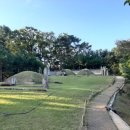 방학동 은행나무 이미지