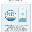제주은갈치 이미지