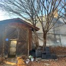 꽃피는 산골 이미지