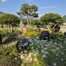덕산옹기