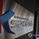 미르스포츠 이미지