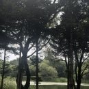 seoul 07.28 - 07.31