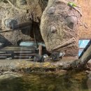 부경대학교 수산질병관리원 | 사천 아라마루 아쿠아리움 후기｜아이와 가기 좋은 부산 근교 실내 여행지