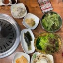 육마루 이미지