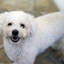 뚱's 까까 이미지