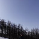 안동목장 | [ 강원도 평창여행 ] 대관령 양떼목장 건초주기 체험 후기