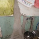 # 금포국민학교졸업 장세영이용소 금빛대학졸업.&amp; 이미지