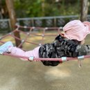 참다래어린이공원 이미지