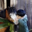 미문농장 이미지