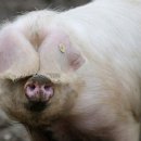 공이농장 이미지