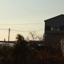 늘푸른농장2 이미지