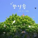 굿마인드