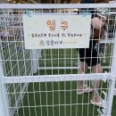 달콤하개 이미지