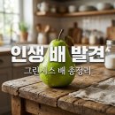 한일유통냉장 | 그린시스 배 가격 맛 후기, 전참시 이영자가 극찬한 초록색 배의 정체