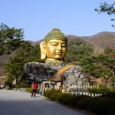 와우정사 이미지