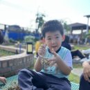 달서유치원 이미지