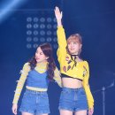 모모 이미지