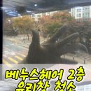 베누스헤어 이미지