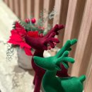 편한, 안 정신건강의학과의원 이미지