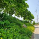 신성리보건진료소 이미지