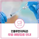 의료법인순의료재단가정성모의원 | [공지] 2024-2025절기 인플루엔자(독감) 무료 예방접종 안내