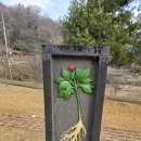 진악산 이미지