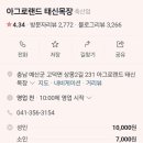 청마루농장 | #방학체험2탄⭐️아그로랜드 태신목장