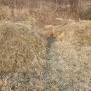 산북주유소 Daum카페