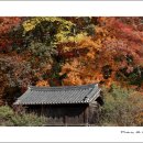 보덕사해우소 이미지