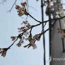 춘천소양강댐 입구 주차장 이미지