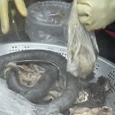 [거제맛집추천] 거제 사람만 아는 현지인 맛집 간판 없는 곳 옥포 백수약국 떡볶이 추천 ★