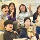 인생은 시처럼 음악처럼 이미지