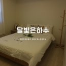 뽀빠이하우스 | [울산]가성비 좋은 울산 게스트하우스 ‘달빛은하수’ 302호 후기