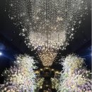 상주시청(1별관,2별관) | 광주웨딩홀 후기 홀리데이별관 투어