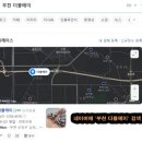 더블에이, 행복한 오룡이 입니다. 고객님들 감사합니다. - 부천 더블에이 / 부천 펫테일게코