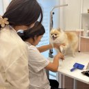 멍클스튜디오 이미지