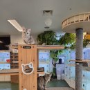 해피주 수원점 | 수원 실내 동물체험 가능한 해피주 수원점 후기, 분양 전 교감해본 리얼 방문기